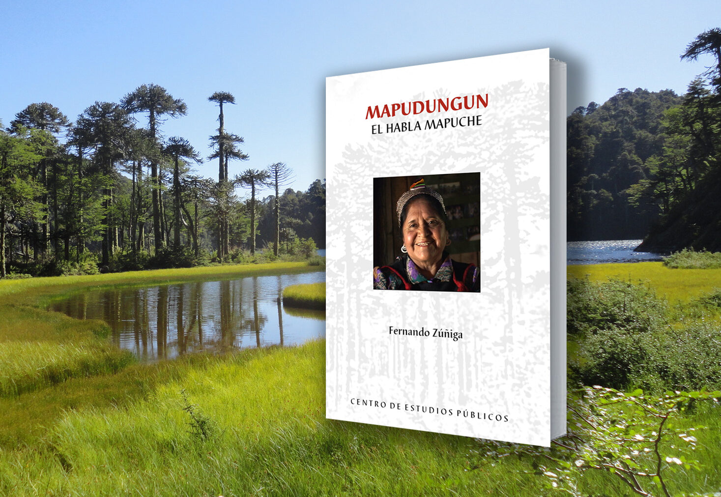 Mapudungun. El habla mapuche