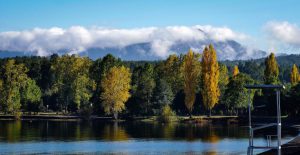 Seminario: ¿Patagonia en peligro? loteos y naturaleza