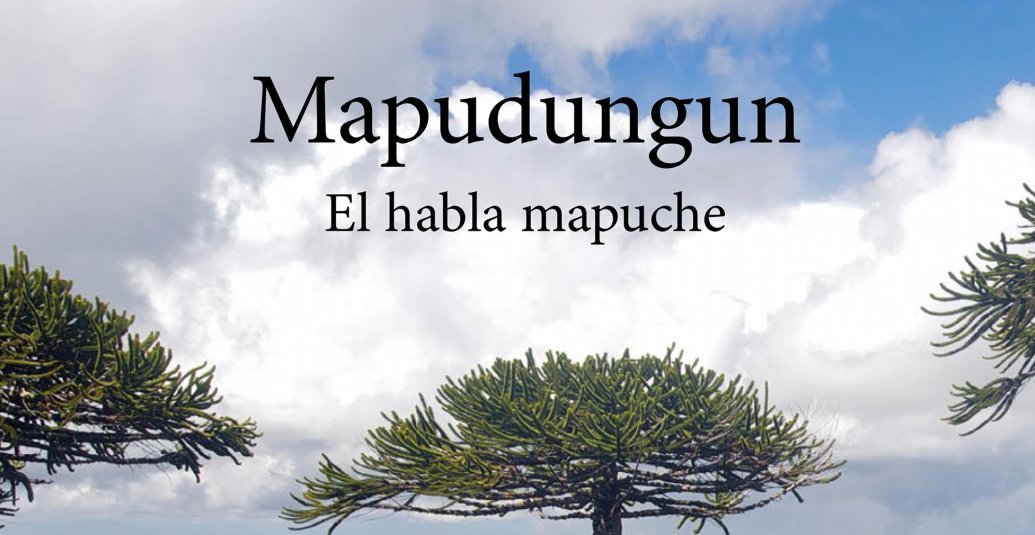 Lanzamiento del libro «Mapudungun. El habla mapuche»