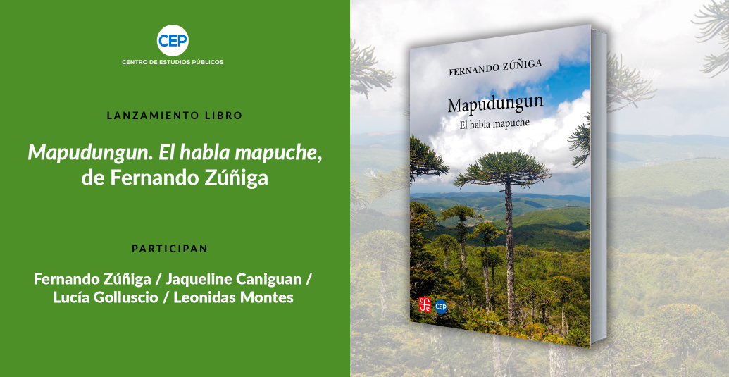 Lanzamiento del libro «Mapudungun. El habla mapuche»
