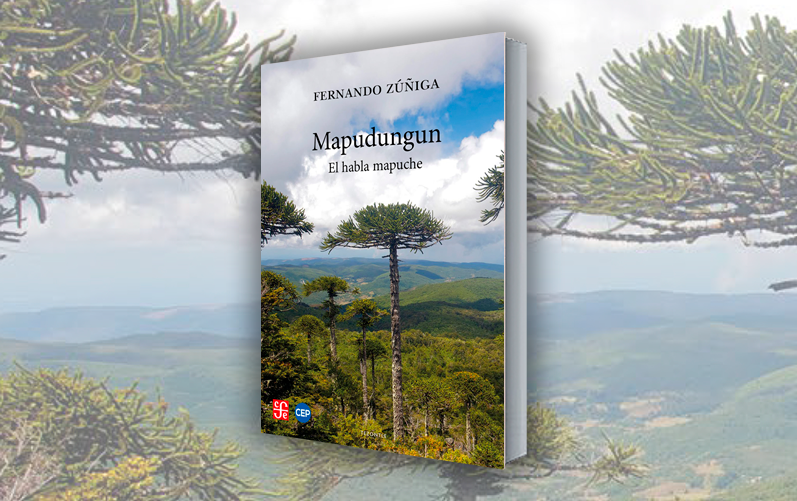 Mapudungun, el habla mapuche. Nueva edición revisada