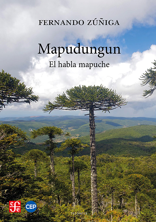 Mapudungun, el habla mapuche. Nueva edición revisada
