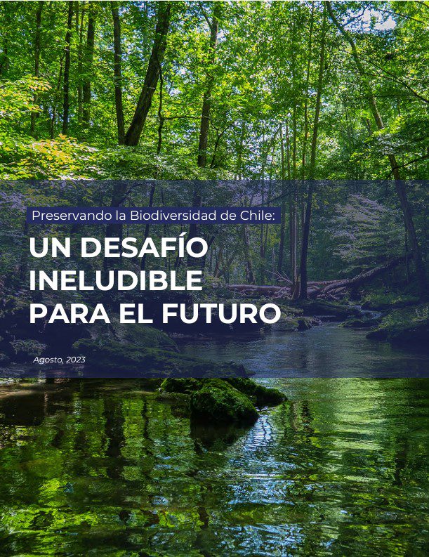 Juan Pablo Escudero, Cristobal Gazmuri, Andrea Orezzoli y Santiago Flores Ferrés - Informe Conservación